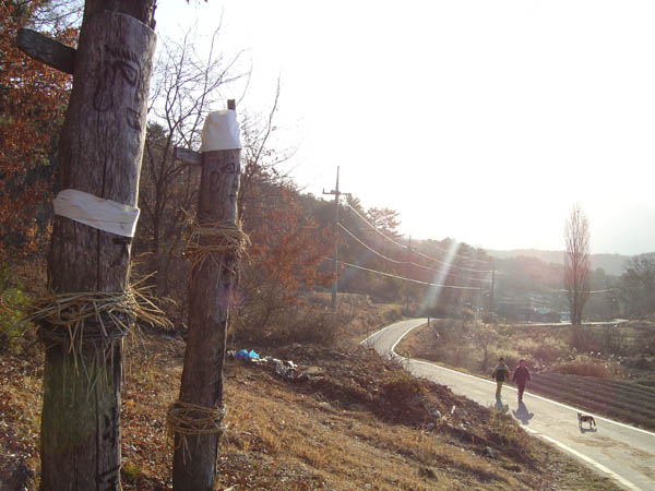 지난 봄 산책길. 야옹이는 인상이만을 따라 다닙니다. 